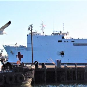 The Mercy, navy hospital ship spotted by Silva Construction Inc